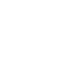 Les nuits de Camille